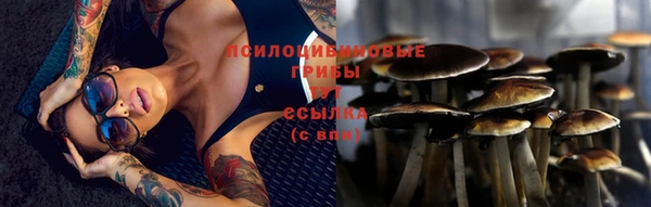 скорость Белокуриха