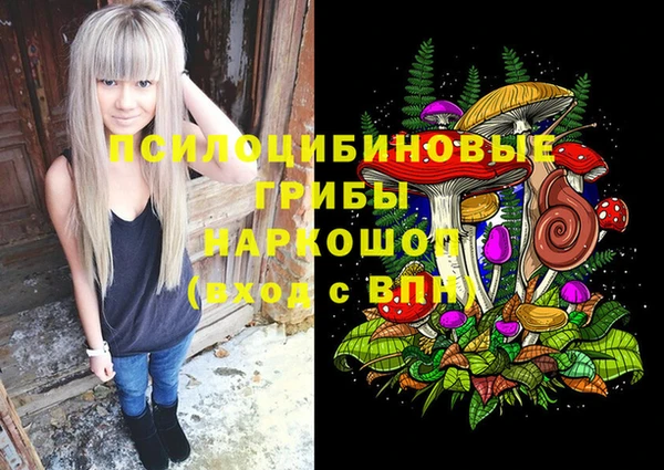 скорость Белокуриха